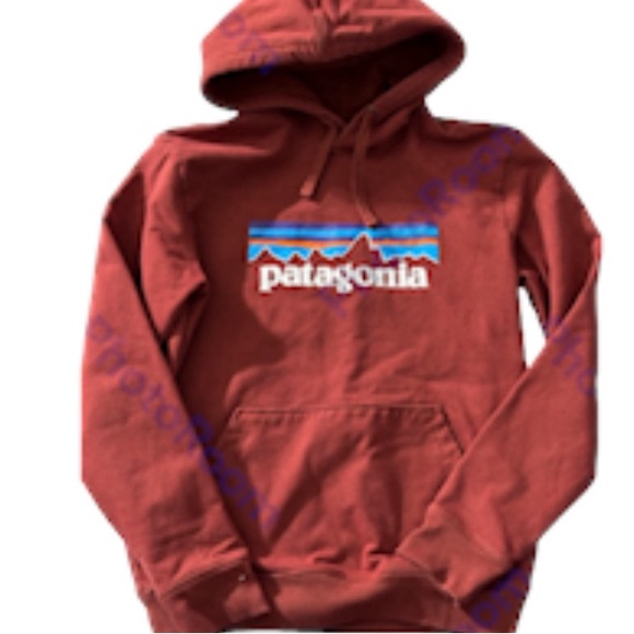 Patagonia Other - Patagonia Men's P-6 Logo Uprisal Hoody size small worn wear spellout